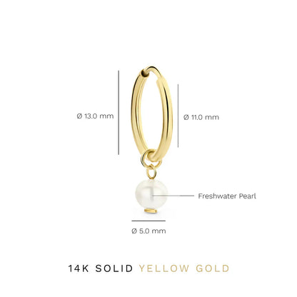 Delia Crest Earrings | Gold 14k